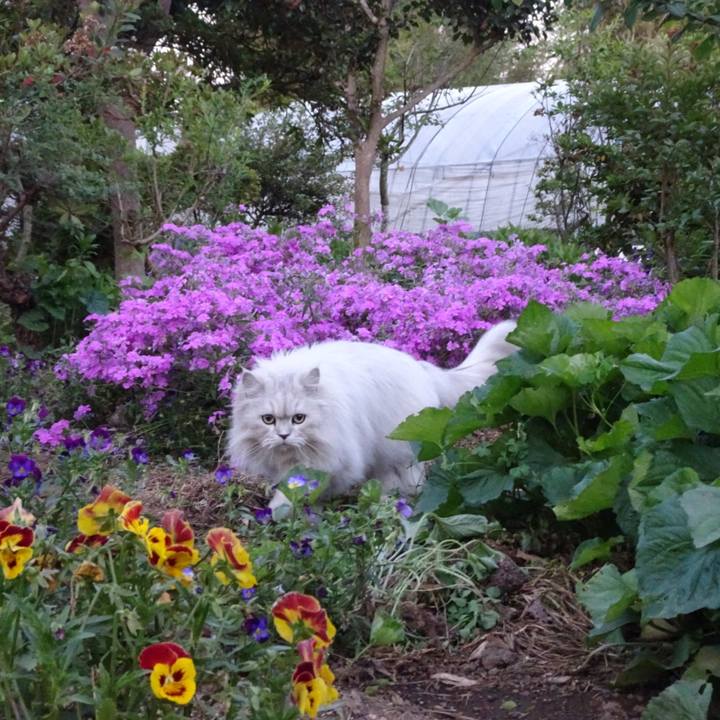 19070a54 f1d8 4069 9b4d 99393c08aa6a 1558787615873