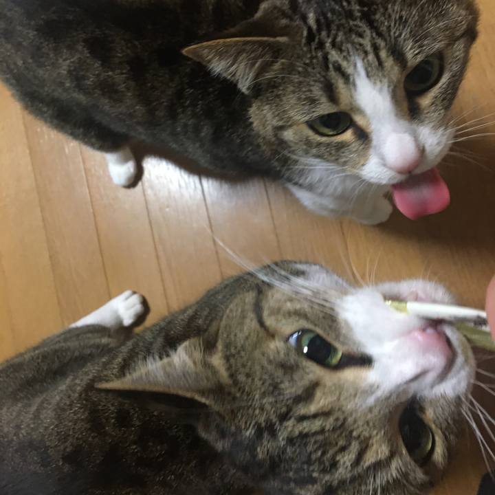 190723a5 f6cd 49cc bfad a538f951f2b4 1705060119844