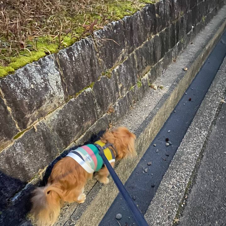 1907393f 1cdc 4b14 b9dd a2f366ba4478 1579212700028