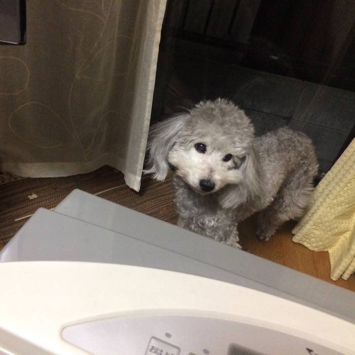 19077b75 0a0e 4a4d b331 bdbc0c3dea4f 1518650602334