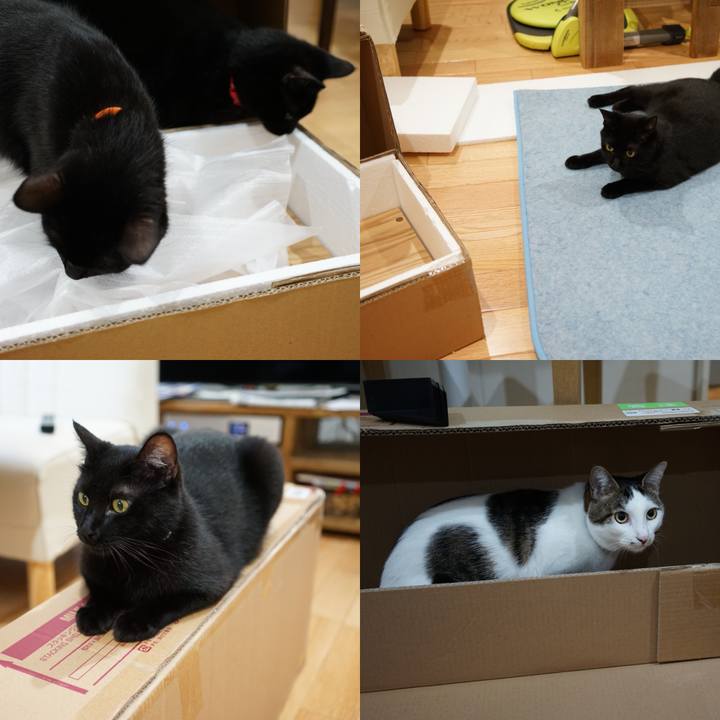 1907a1d6 4303 4a93 b7bd 616d0a95e794 1538833484548