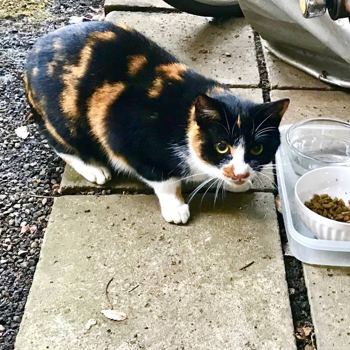 1907d11e 51b1 4aa5 be98 ab8dfb5be51e 1508475469675