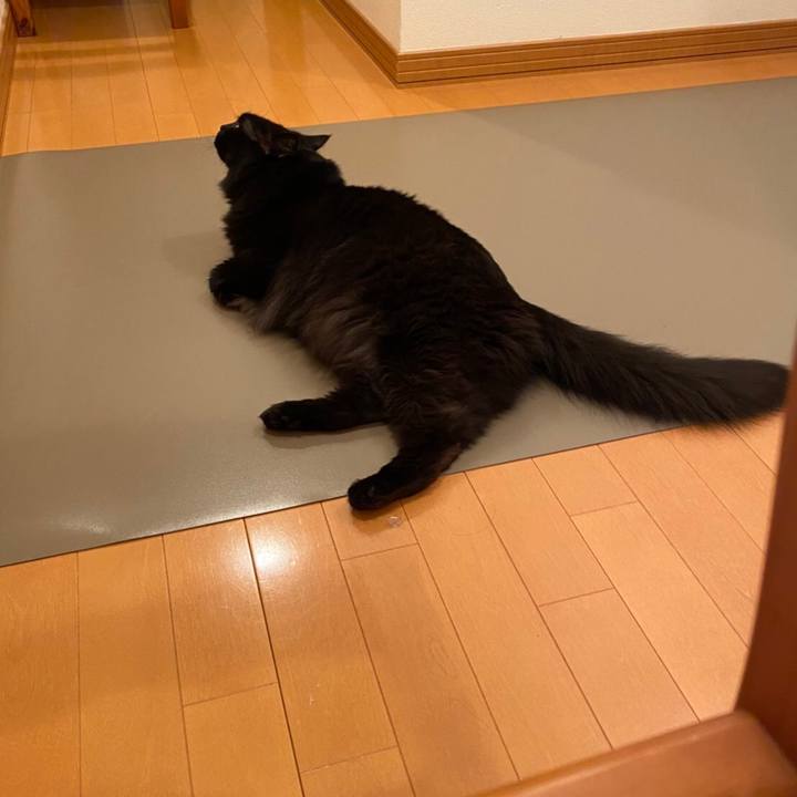 1907e43e 4749 4859 9310 511158c1eaf4 1591101996630