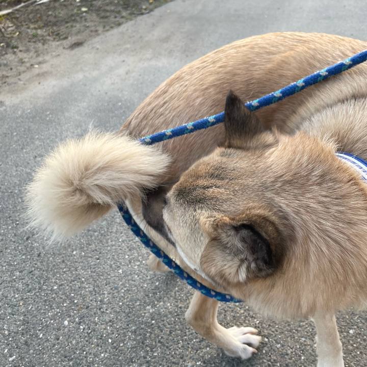 190801f2 3136 455a 911f a5b709fd1c43 1646915064913