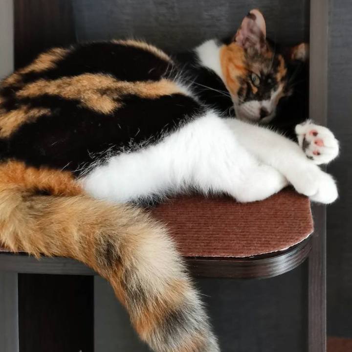 1908156d 44dd 4953 8336 73a8d11f15d6 1626856306720