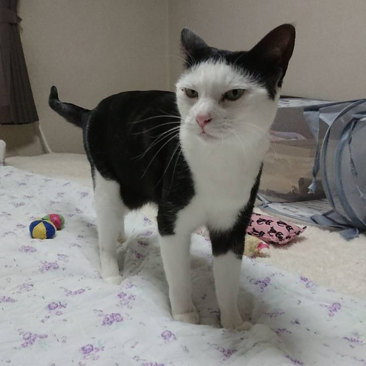 19081e1b 888f 46c5 a5bf e1f327040ce9 1516581181450