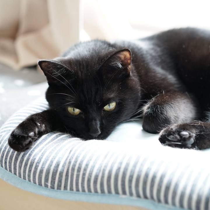 19082f3c aee1 4f30 acf2 ca45d6f9ff51 1560470626003