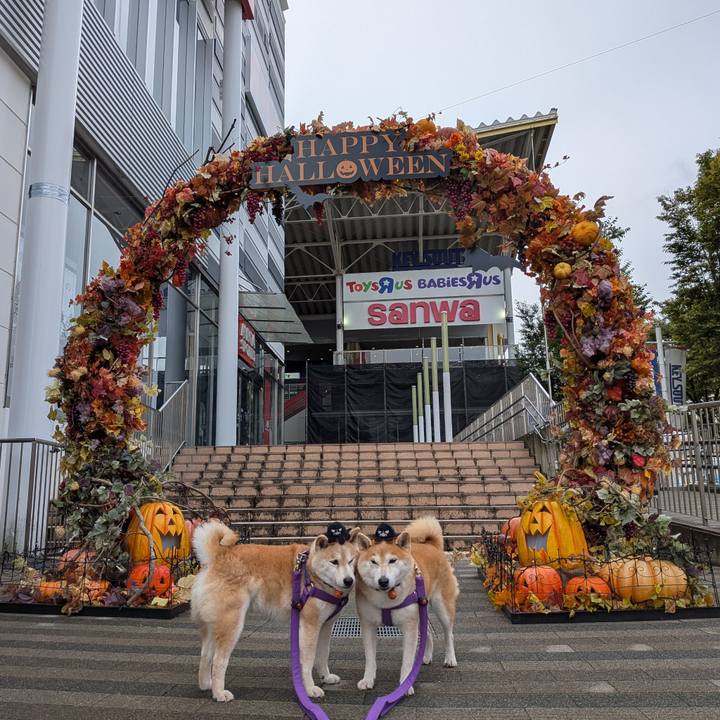 190848b2 93d5 4525 91cf cca1873a94e3 1760240374811