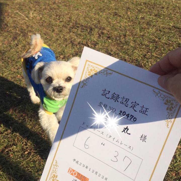 19084aba f626 4996 b4fa f5578c356ed3 1514024907807