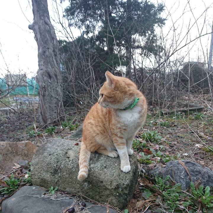 190883bd 1b9a 426a 8ae0 1860946acf3d 1584172894366