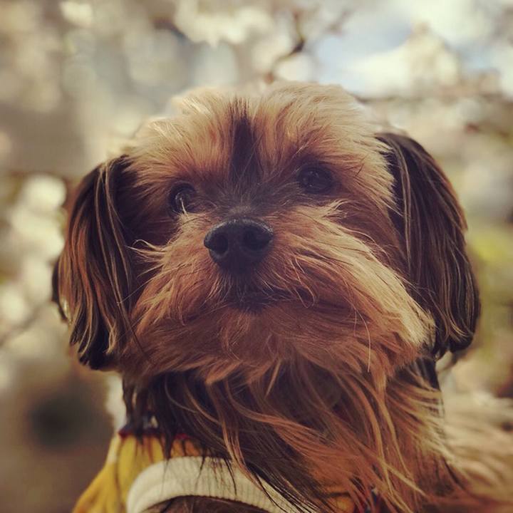 1908c1dc f20f 467c 8820 c601071de5fc 1521874461860