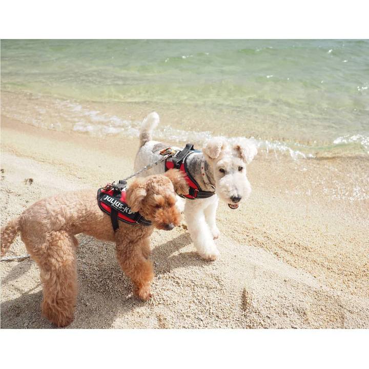 1908e468 74dd 4d4c 828c 3c5ef9202a18 1592620066299