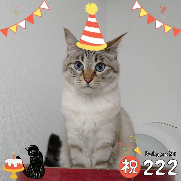 1908ec37 4909 4ec2 8a16 7f7aaaa4cbc4 1645530218982