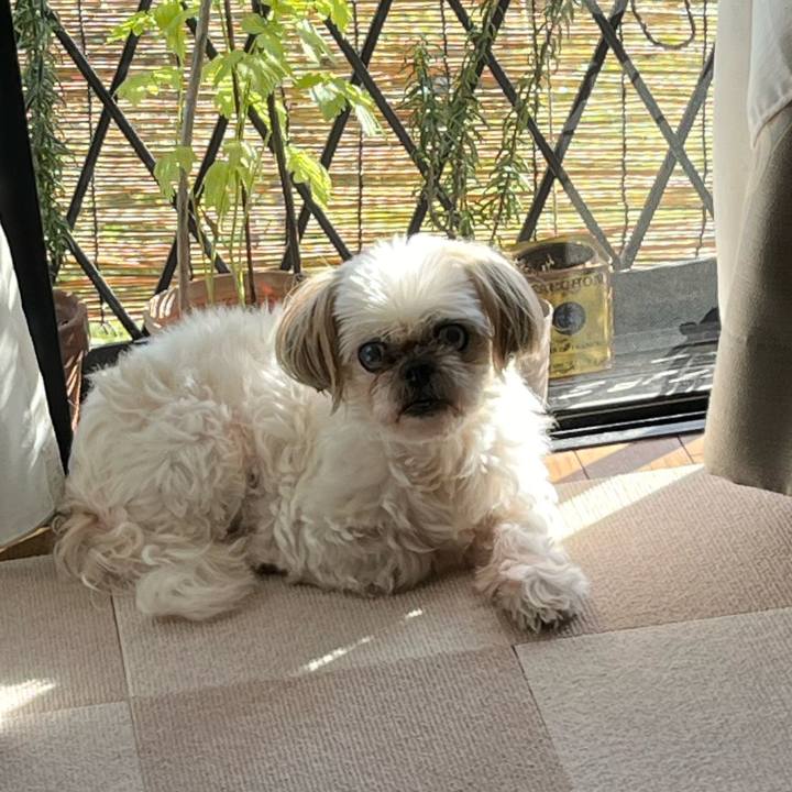 190917e6 aad8 4724 a34d a31b1a63b6b3 1728648035675