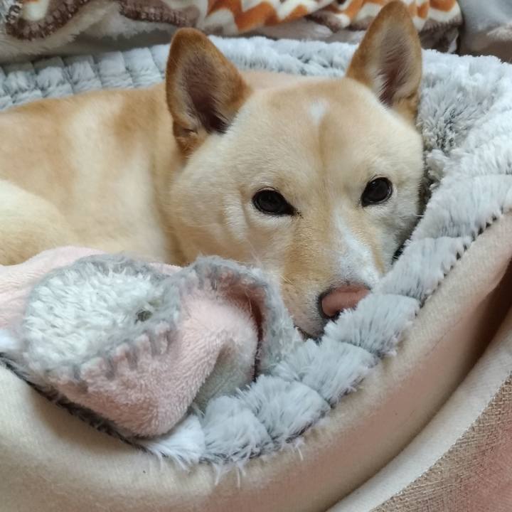 19098dd5 9f70 46b4 85fd b5418252ec9e 1584919278765