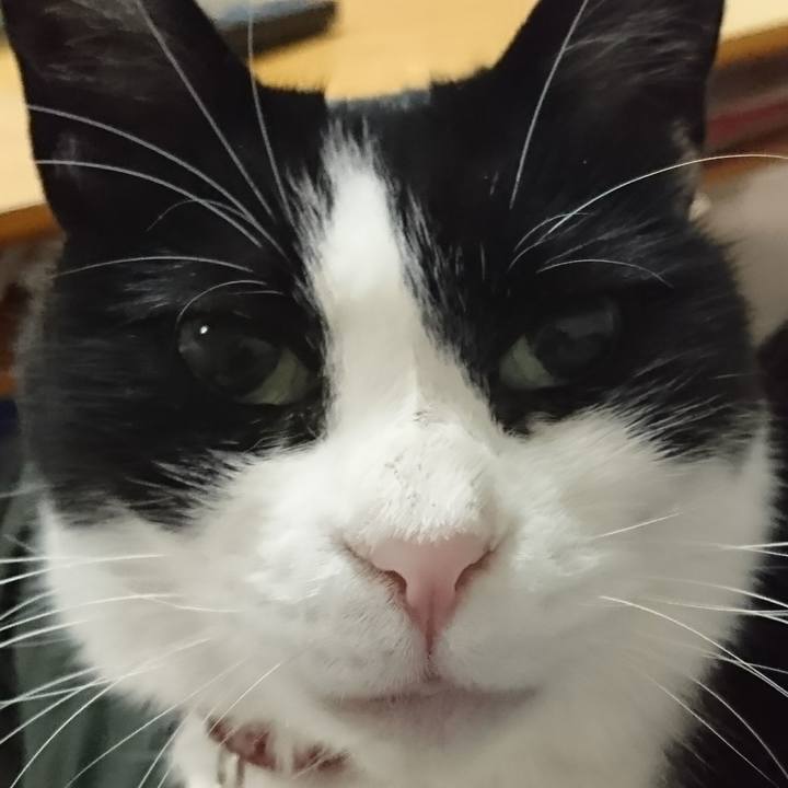 1909e409 1087 4de0 b451 0e726e365ca2 1614337049914