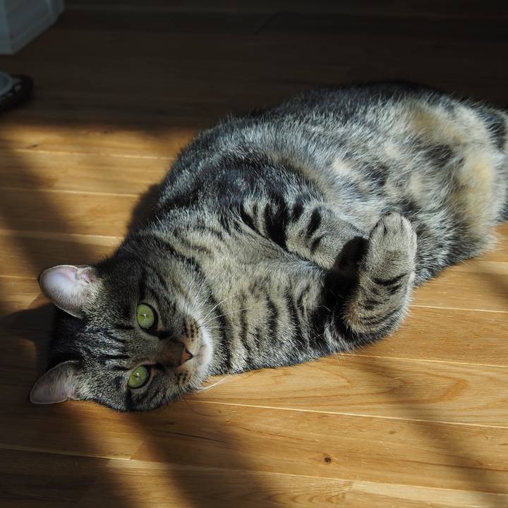 1909f3a8 8779 492a b1a4 79b2c20a9fe1 1604376979183