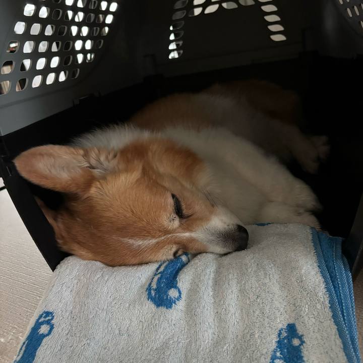 190a8103 db65 4316 9d8c 8bd5b1fea450 1746493114517