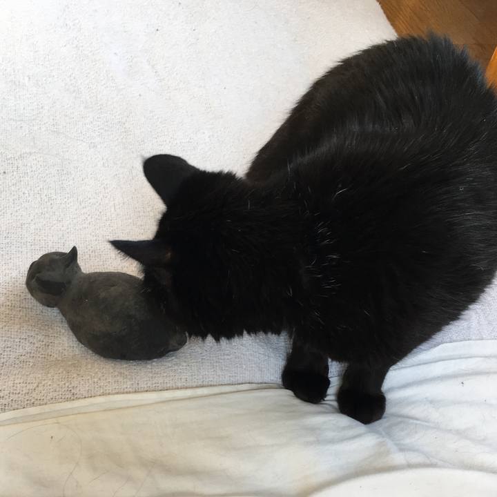 190a8c66 f345 4553 b531 396c59912e82 1562448389072