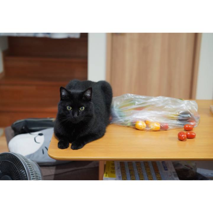 190a9ebe 6e6b 4067 8a72 81214d39a893 1626272731298