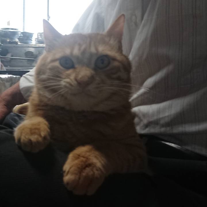 190ad2f2 fb56 4e0d ab7e e0c4ec697383 1651494442100