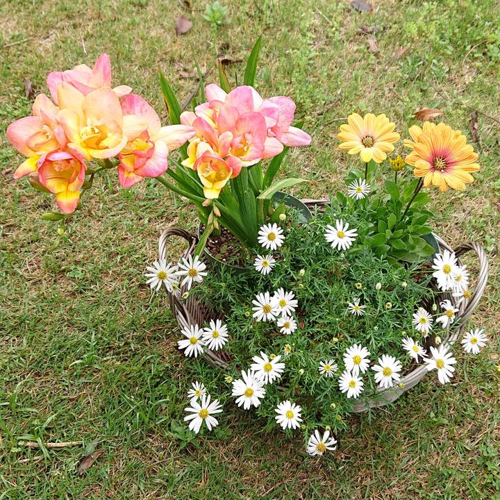 190ad72c 91ff 4c2c 8062 3f0b4b173b89 1651285722173