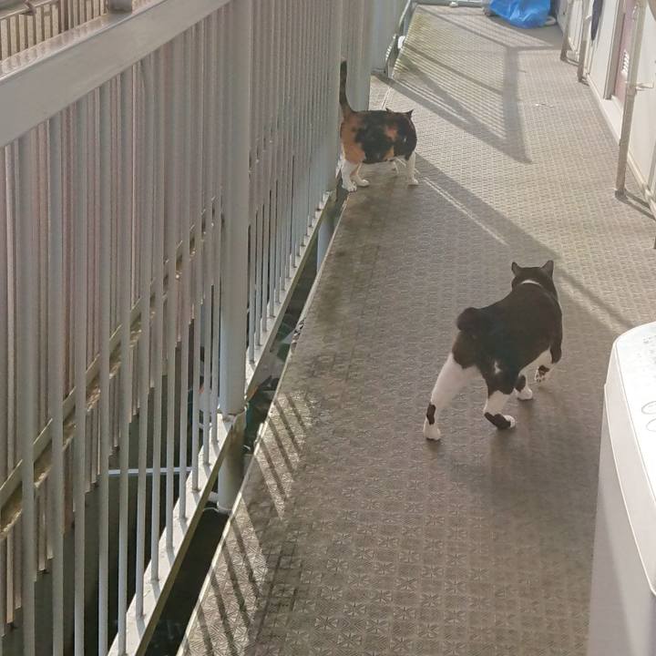 190adceb f2d4 49ed 83f3 fe875bb2e91e 1594507183156