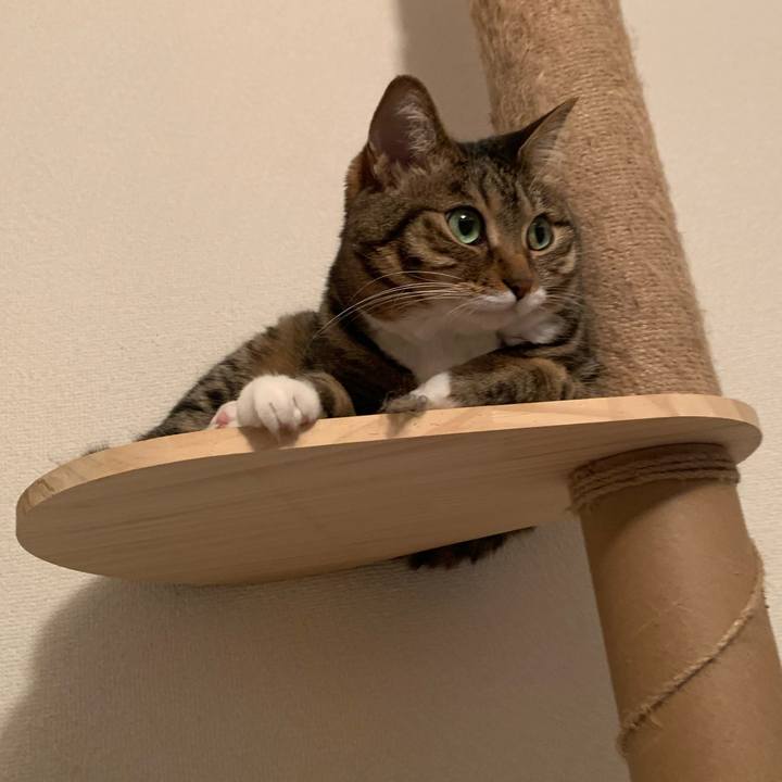 190ae46d e5dc 4502 842d 96f054dcfa51 1659965194567