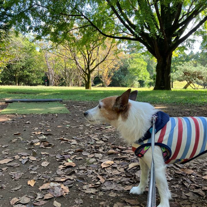 190b0766 011c 4107 b4ef 6adbd6ee10d2 1666567729656