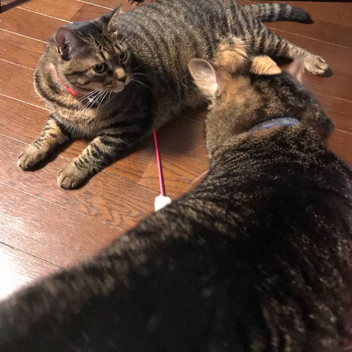 190b33d1 da59 4f3d bf35 03fa8f252d1f 1563804310448