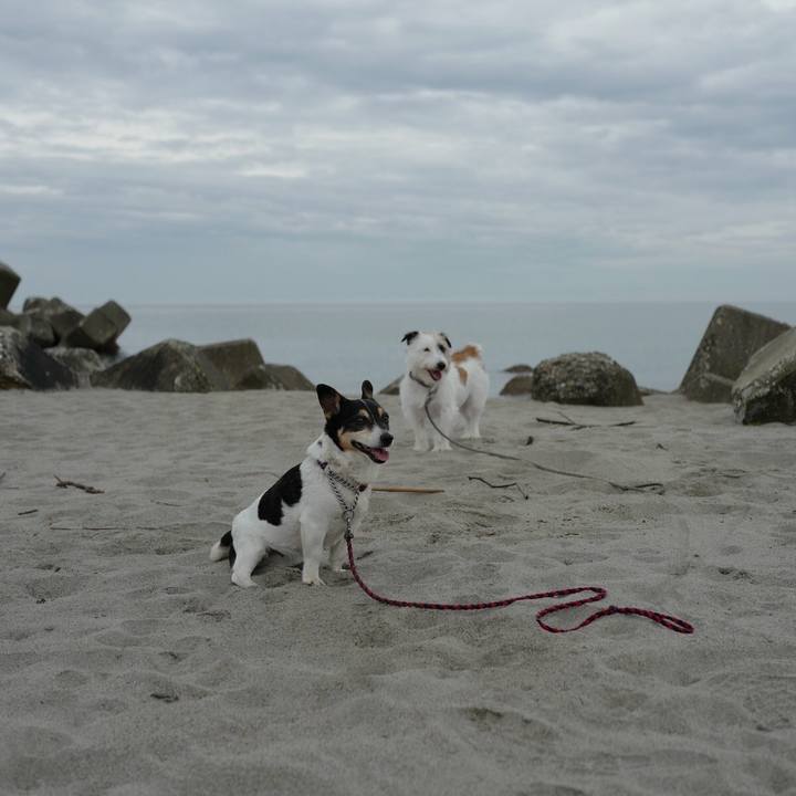 190b69c7 0a52 4cf1 8012 fd7f31aba872 1530678048562