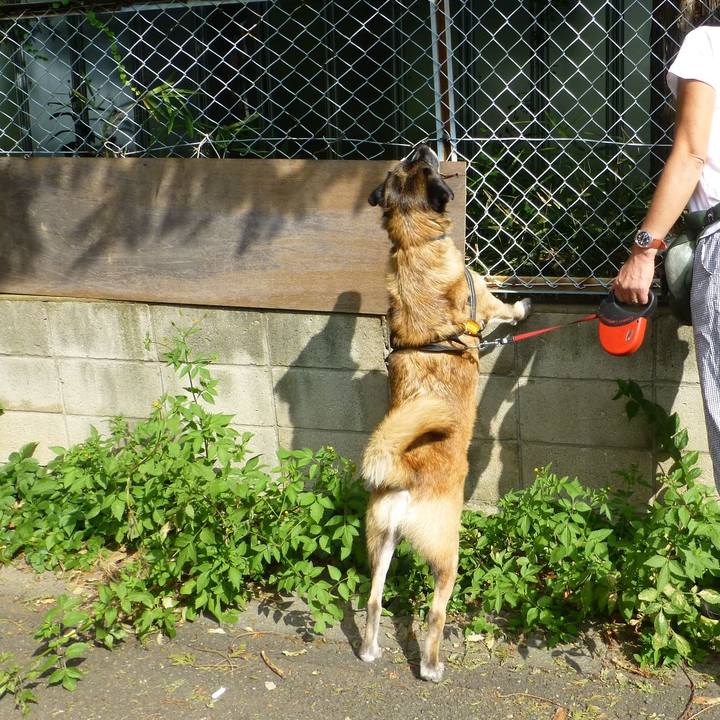 190b7ac0 2e12 43fc a14d 89681e3c157e 1579045510105