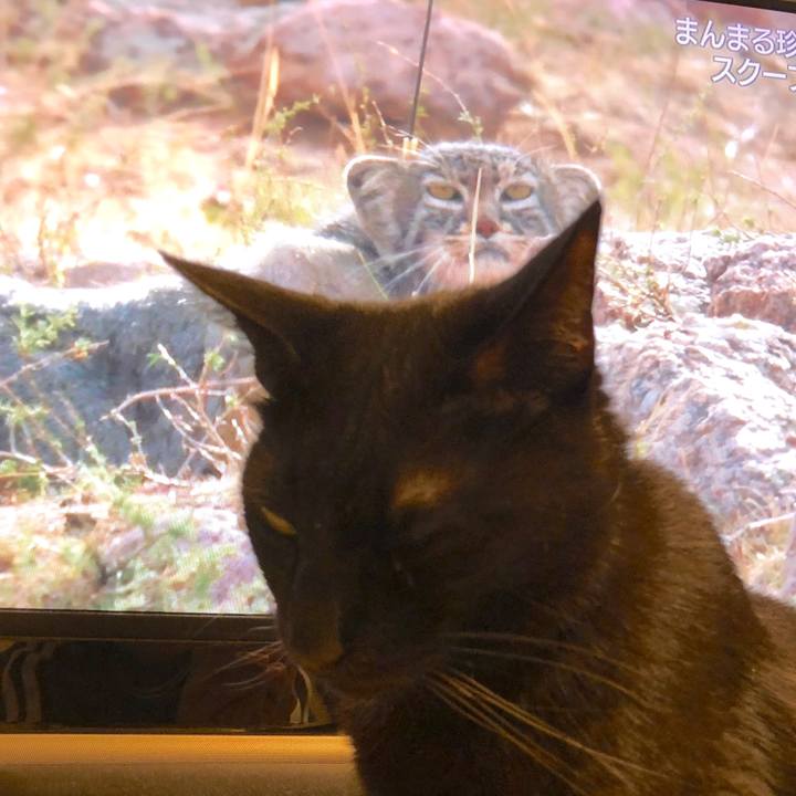 190b7fcd d7c3 4692 b440 318091e25e66 1522580785856