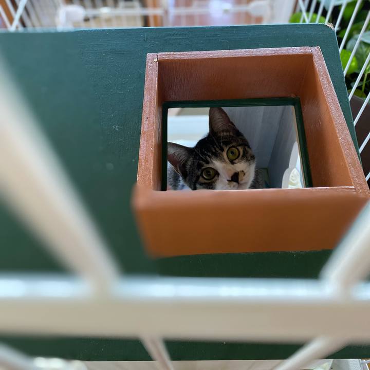 190bca5a bdf2 4255 ba0a 63b797e1370d 1693710216682