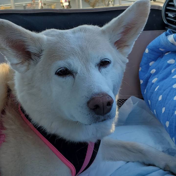 190bd7a5 c51b 465a b7b7 09347c53b297 1607338551519