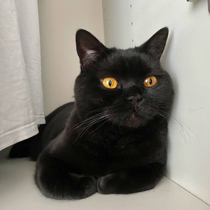 190c3c05 0001 4128 ae77 7e796f526885 1619914768424