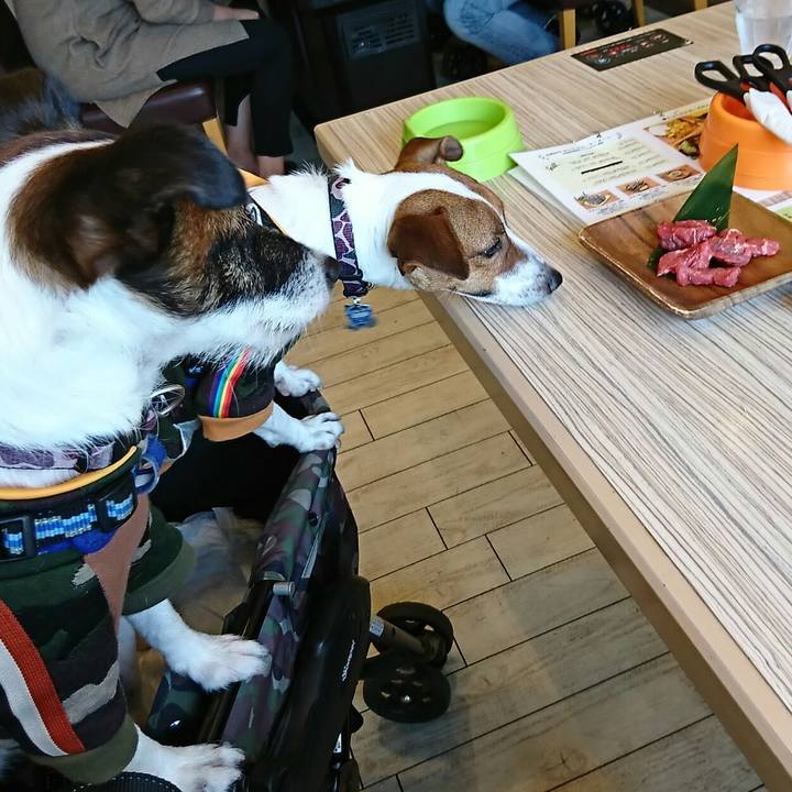 190c9435 6524 4ada a186 fc56d915bebb 1541565538388