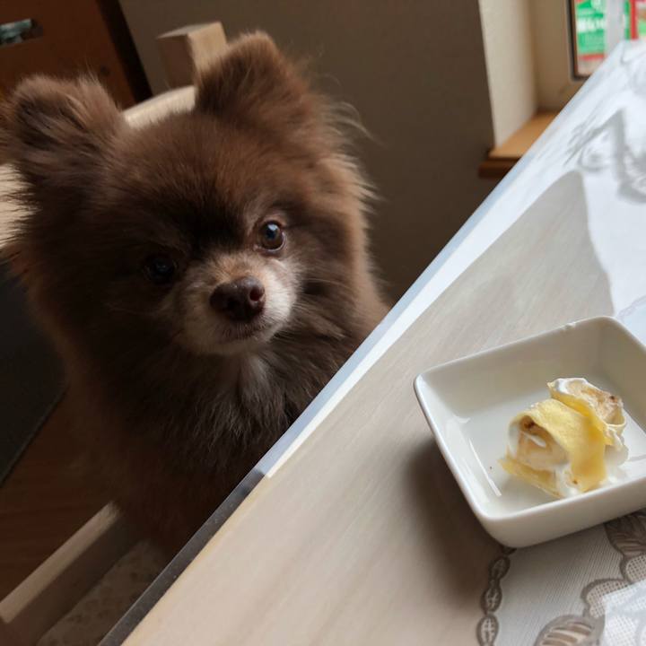 190d35a9 e208 4413 9633 56f241bb69d5 1560730783964