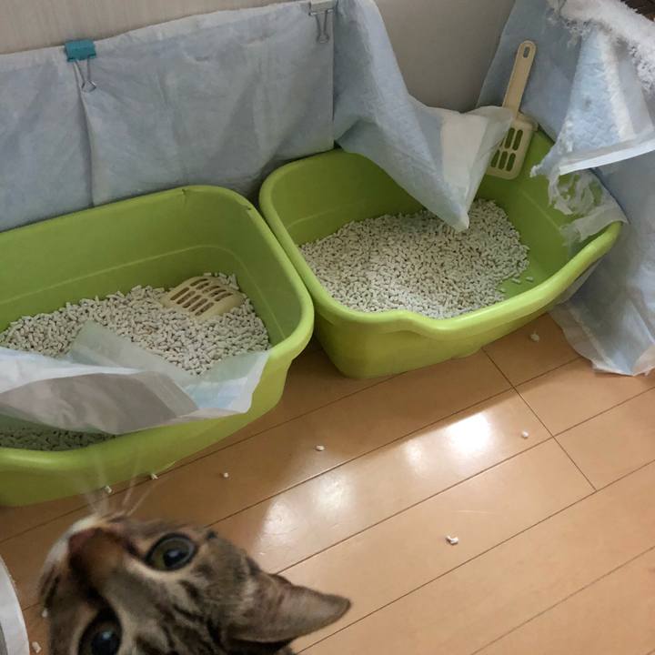 190d485b dd46 4e6f b8ef ae755ba3fac5 1524041655050