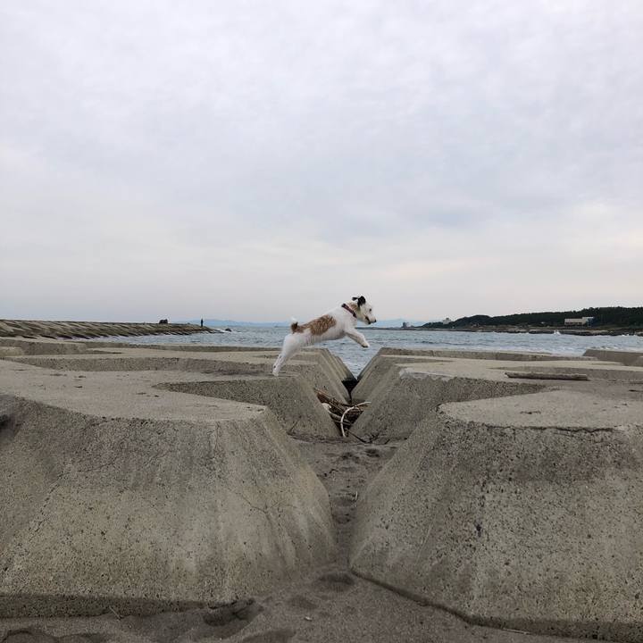 190d97fa 72b0 46bd 91f3 8e2439cc50a5 1602197445107