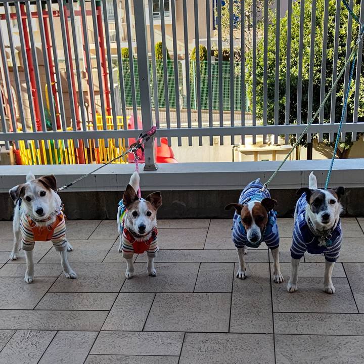 190da5d8 1ba2 414c b0bf 6ab738df5558 1639025452995