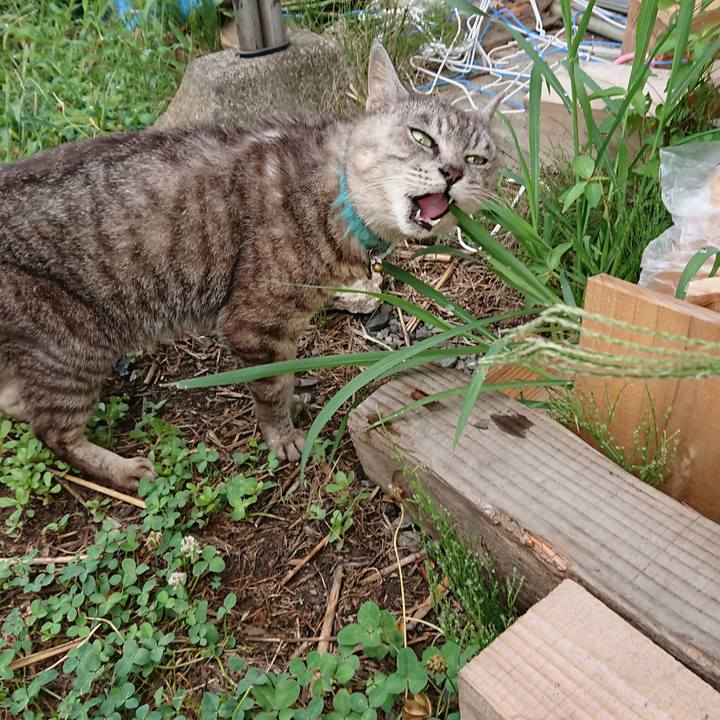 190ddac8 6947 4937 aec7 a4a6cdf27a47 1566080581422