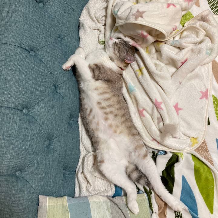 190dffda 3a29 4f44 bf1a 88713028690c 1592749787788