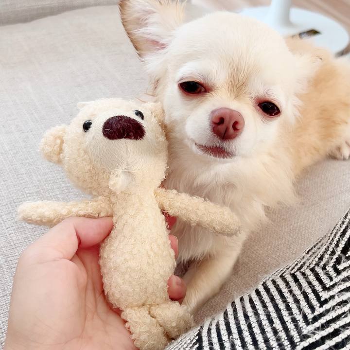 190e0210 2313 43be a44f fee98250420e 1691585462672