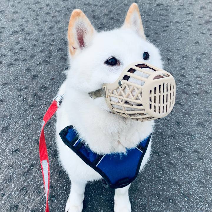 190e37f9 bf4b 47e9 9270 4d691a5de7bf 1624050750121