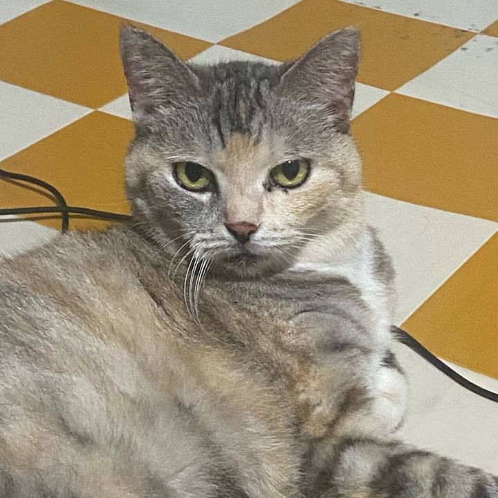 190e87a0 3807 4150 88bd b744e7d3c7f4 1723984699898