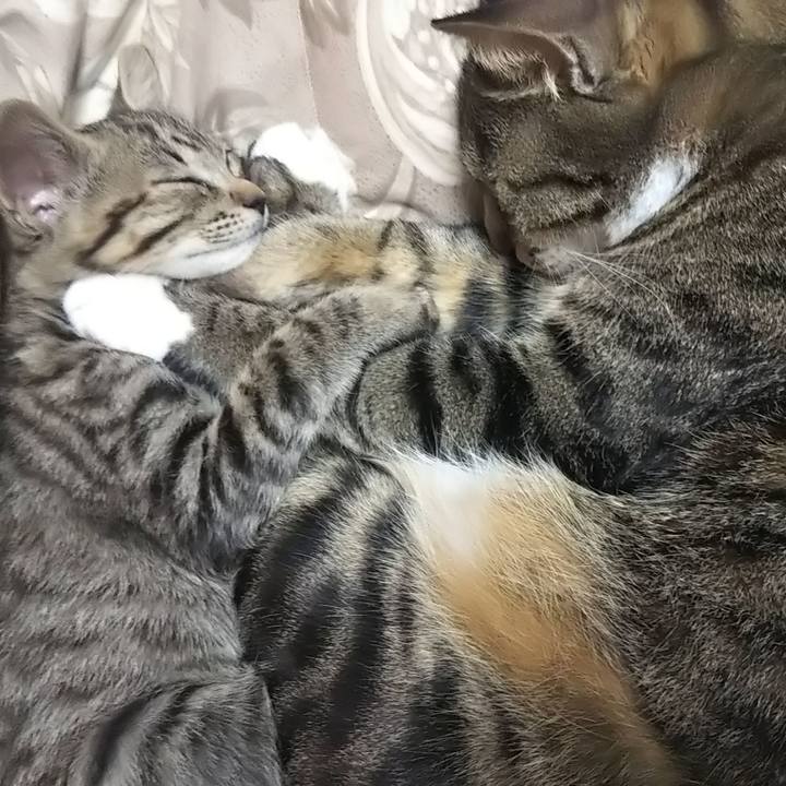 190e87ff ef0e 4393 9497 47dd6f39407d 1639307636480