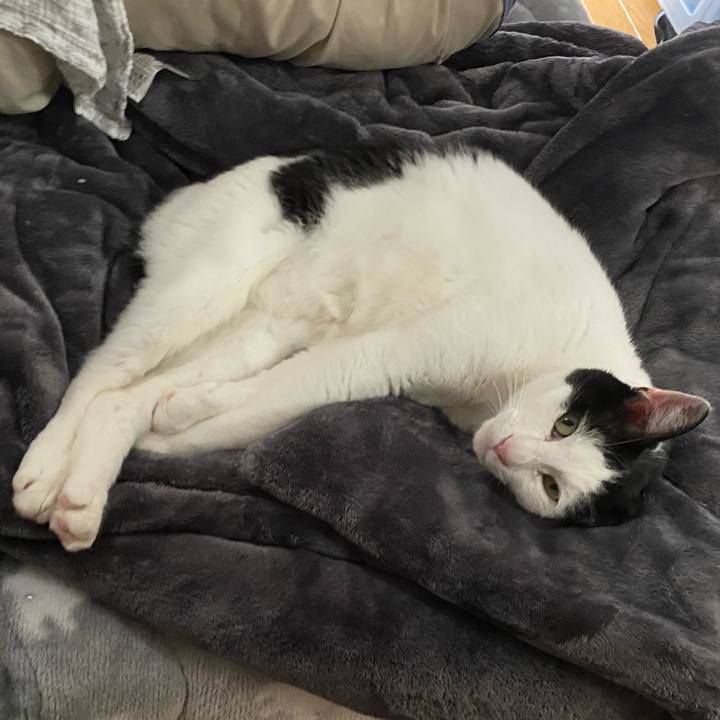 190eaaa2 0a59 4fb1 bfd2 a6128859b09d 1650517758806