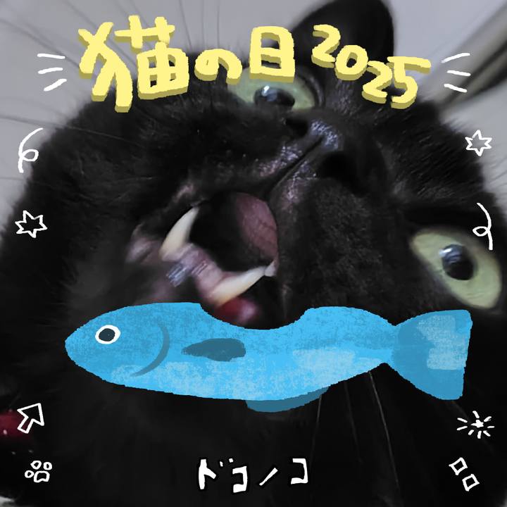 190eb68b a486 4278 9b5a 47b4efdb3e31 1740122318893