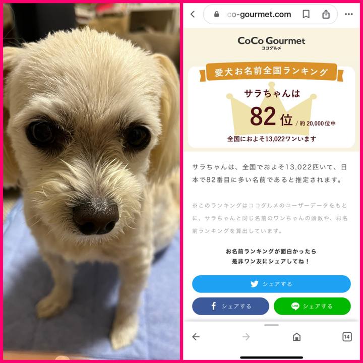 190ec352 a55b 4810 a873 0f92e1f2a888 1684451358117